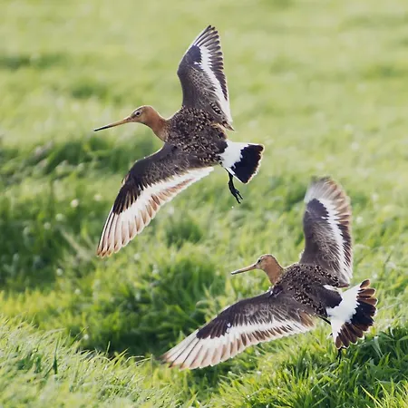 Boutique Texel Hotel
