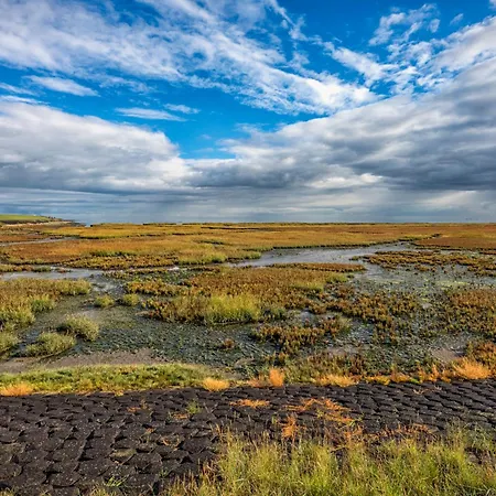 Hotel Boutique Texel