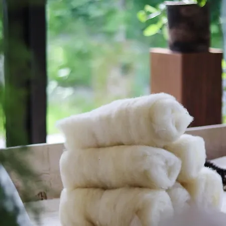 Hotel Boutique Texel 4*