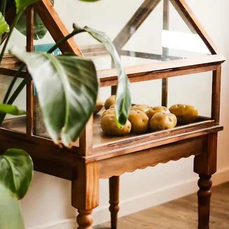 Boutique Texel 4* De Cocksdorp (Texel)