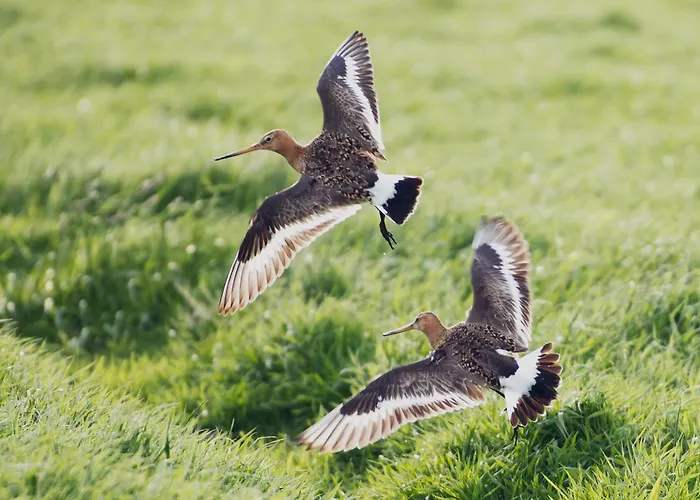 Boutique Texel Hotel