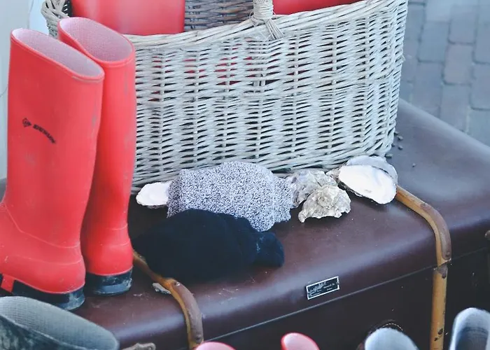 Hotel Boutique Texel