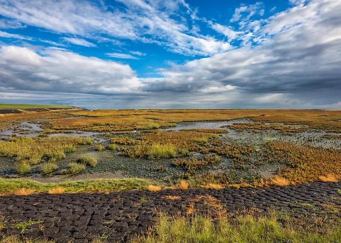 Hotel Boutique Texel