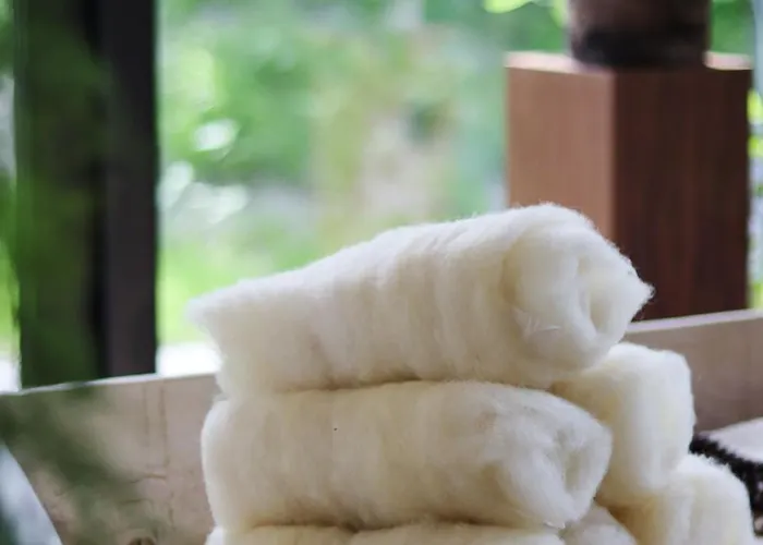 Hotel Boutique Texel 4*