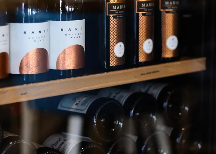 Boutique Texel De Cocksdorp (Texel)