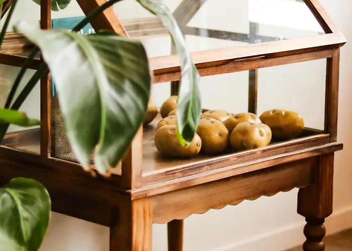 Boutique Texel 4* De Cocksdorp (Texel)