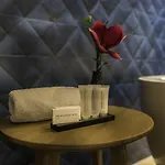 酒店 特克赛尔精品酒店 4*