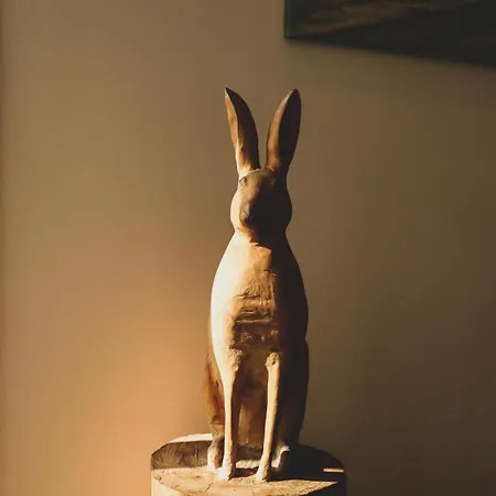 Boutique Texel מלון 4*