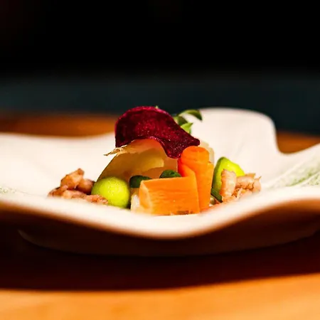 מלון Boutique Texel 4*