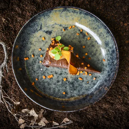 Boutique Texel דה קוקסדורפ