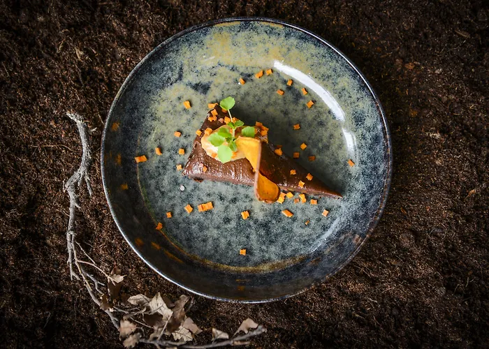 Boutique Texel De Cocksdorp (Texel)